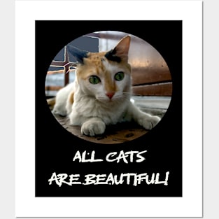 cat is cute Posters and Art